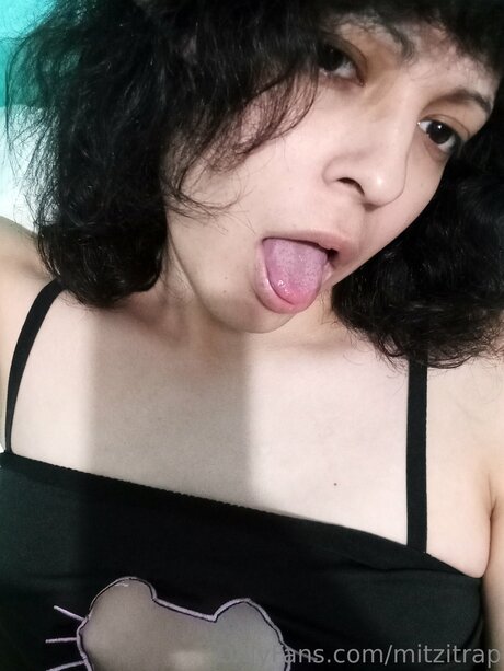 Mitzitrap star art photos