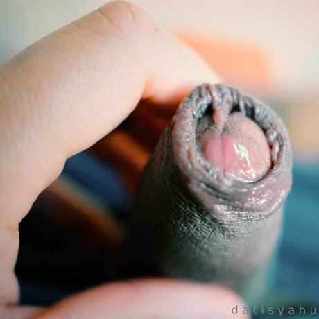 Datisyahu nice actress archive