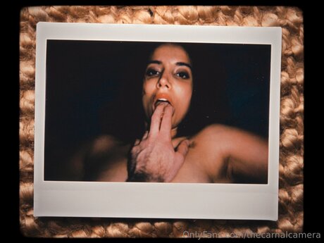 Thecarnalcamera model nude pics