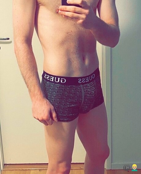 Leslie C model top image