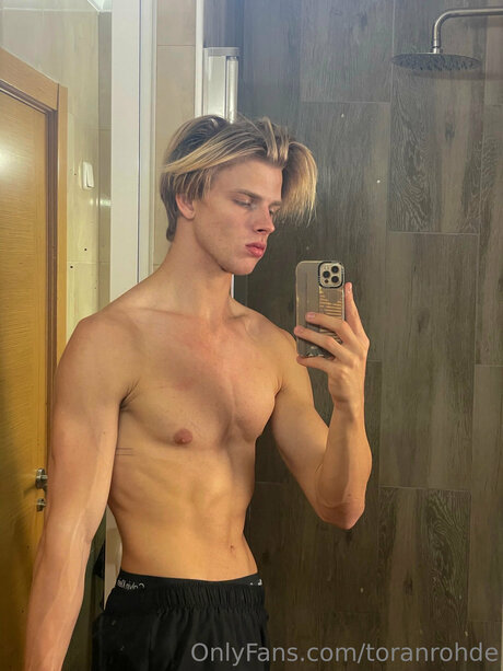 Toranrohdefree star free photo