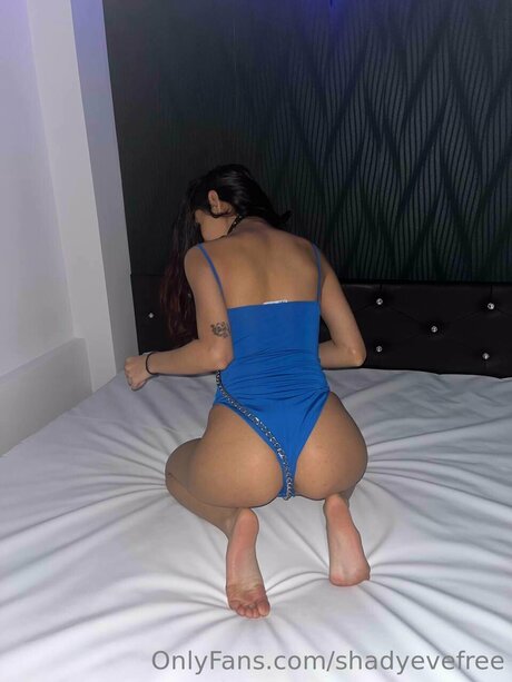 Shadyevefree star xxx images