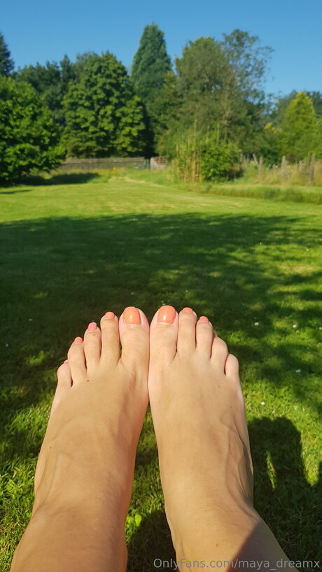 Maya Dreamx beautiful pornstar images