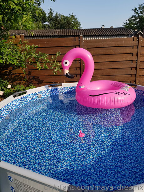 Maya Dreamx model perfect images