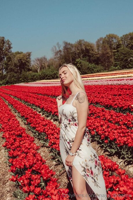 Maya Dreamx art pornstar picture