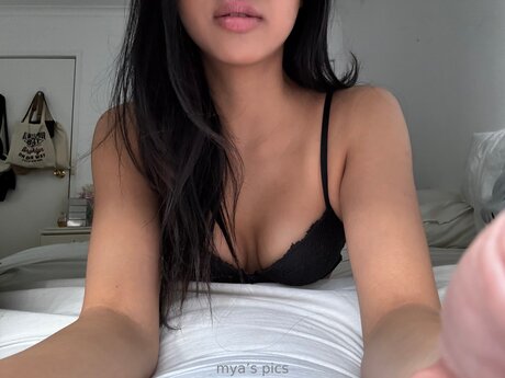 Myaarawrr best star photo