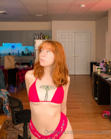 Mollymoanss star top picture