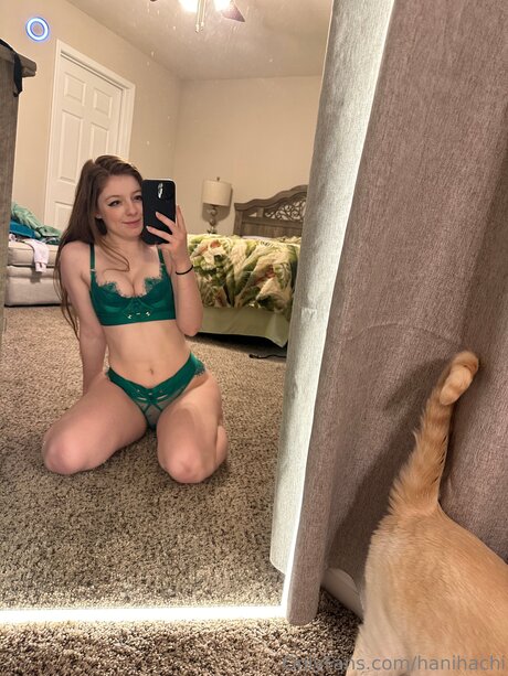 Hanihachi model free pic