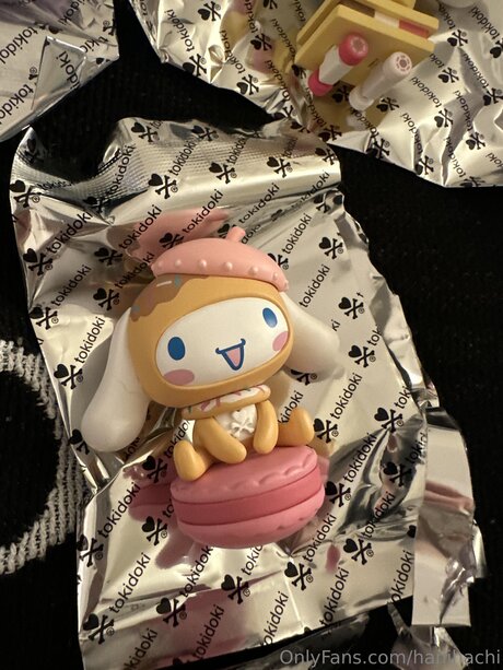 Hanihachi naked pornstar galleries