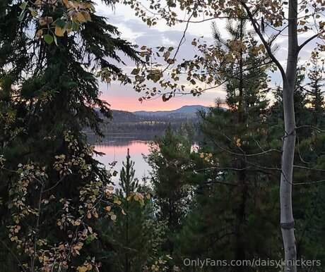 Daisyknickers hd star images