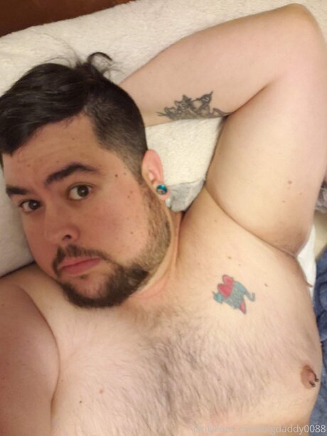 Bigdaddy0088 high quality pornstar pic