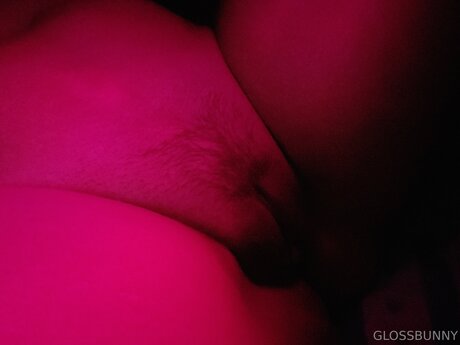 Glossbunny pornstar perfect gallery
