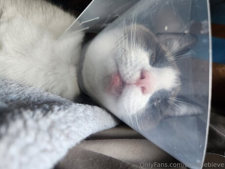 blowjob milf onlyfans nude img