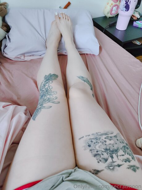 Secr3tmoon star best picture