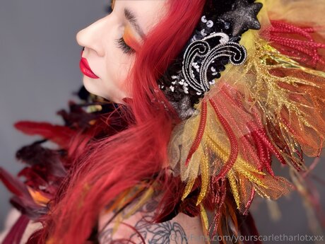 Yourscarletharlotxxx high quality star photos