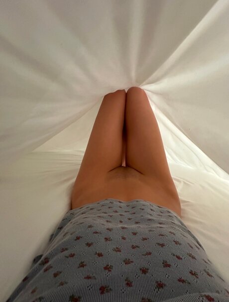 Lilsoosh art star archive