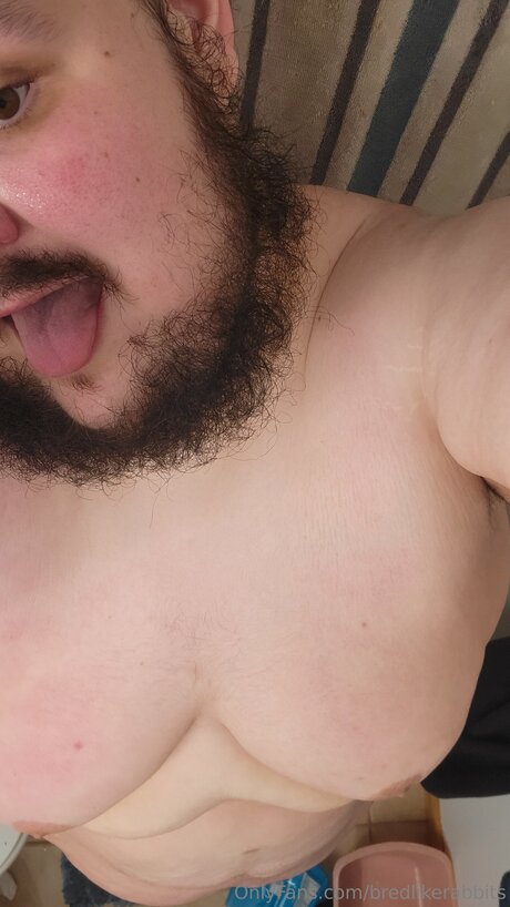 Bredlikerabbits star pornographic galleries