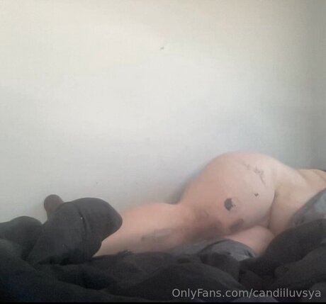 Candiiluvsya pornstar hd picture