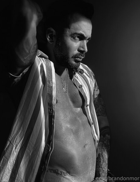 Brandonmor nice star archive