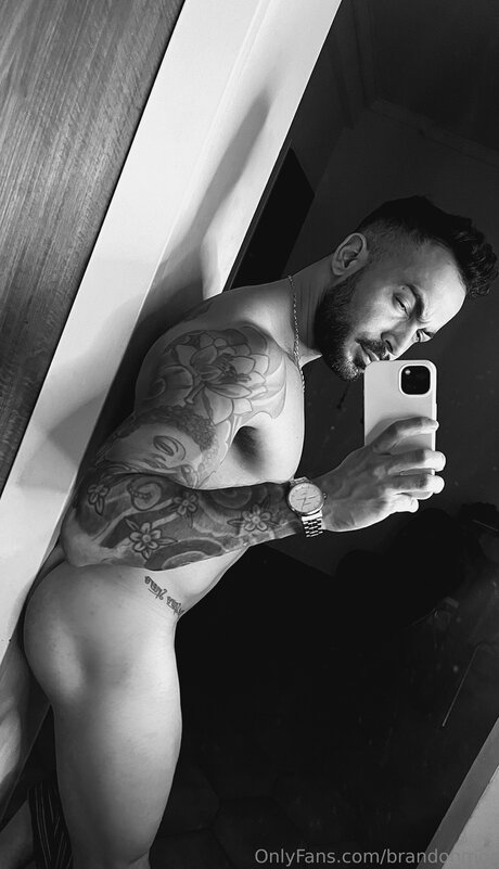 Brandonmor Profile Photo