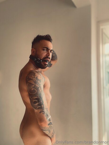 Brandonmor pretty actress pictures