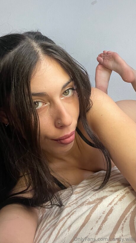 Candy Wild exclusive model image