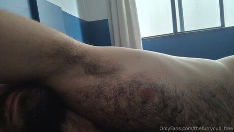 Thefurrycub Free free pornstar archive