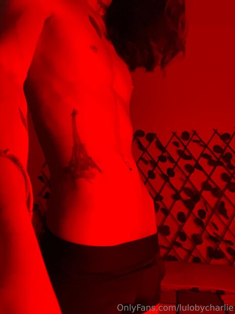 Lulobycharlie star art picture