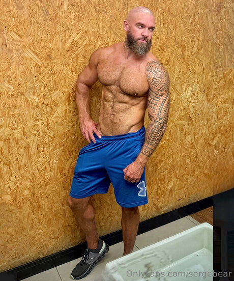 Sergebear hd actress pic