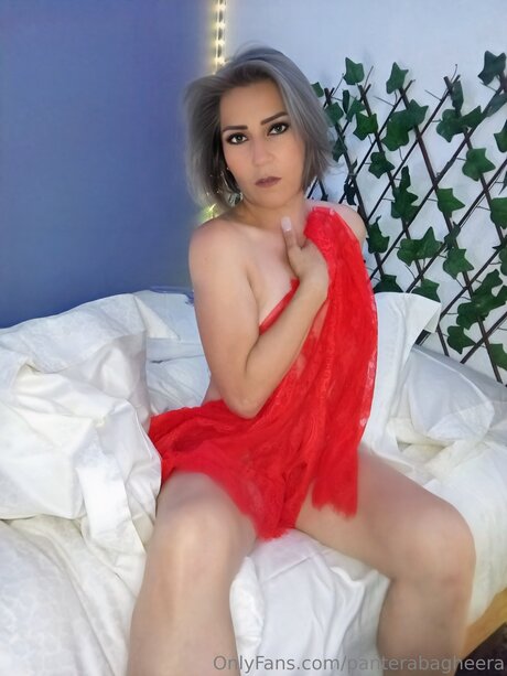 Panterabagheera hot pornstar photos