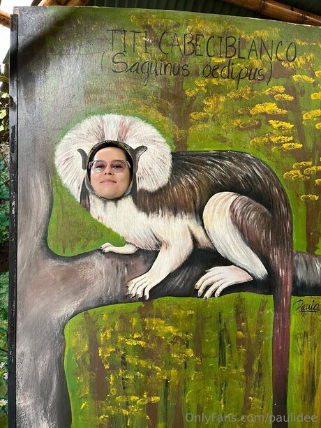 Paulidee pornographic star pics