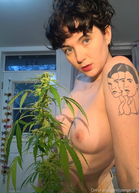 Peepeach high quality star photos