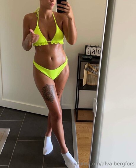 Alva Bergfors art star images