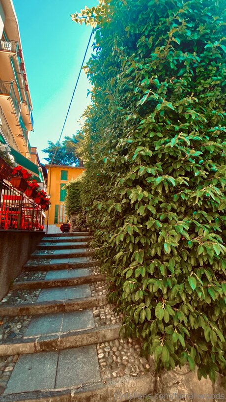 Farrahfahrenhite model gallery