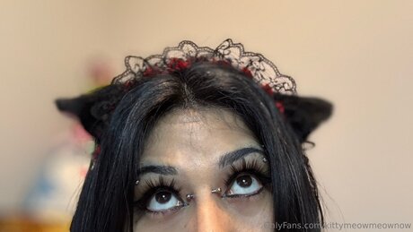 Kittymeowmeownow nice star pics