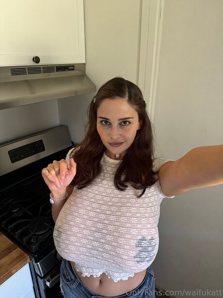 Waifukatt model hd image