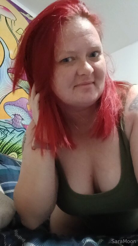 Sunshinemist star free photo