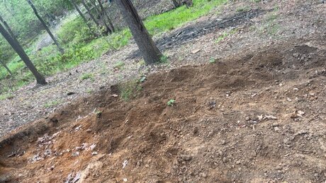 Xxgoldilocksxx top pornstar photo