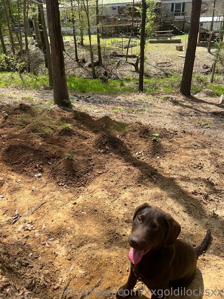 Xxgoldilocksxx adult model gallery