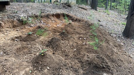 Xxgoldilocksxx xxx model archive