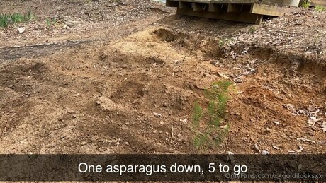 Xxgoldilocksxx top model archive