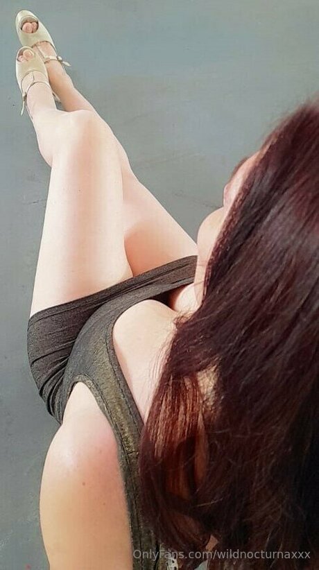 Wildnocturnaxxx pornstar top picture