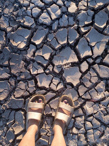 Luzgyal model art images