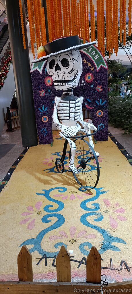 Alexrasec pornstar adult galleries