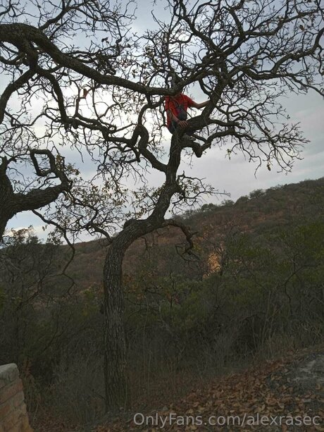 Alexrasec pornographic model pic