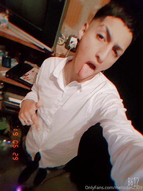 Meliodas2309 hd model pic