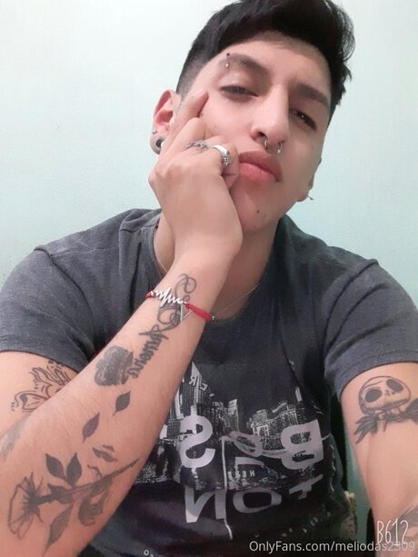 Meliodas2309 model perfect image