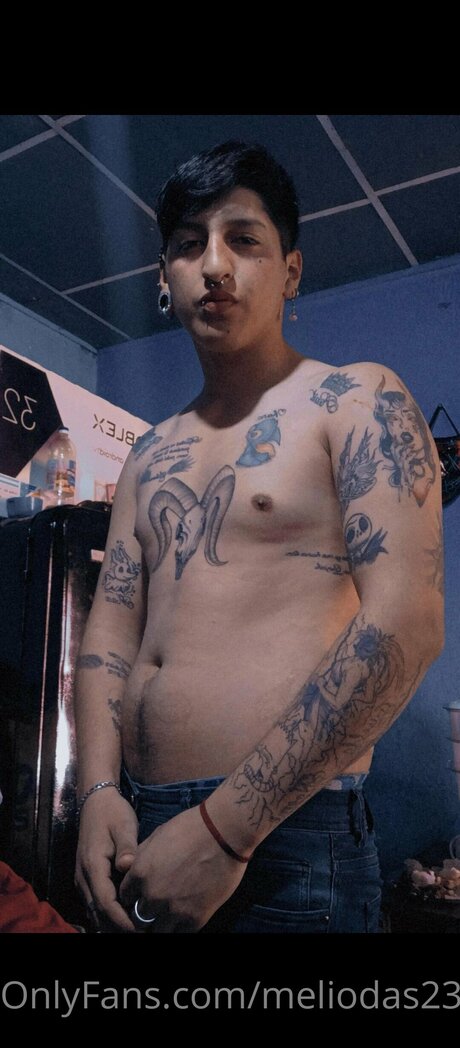 Meliodas2309 model hot image