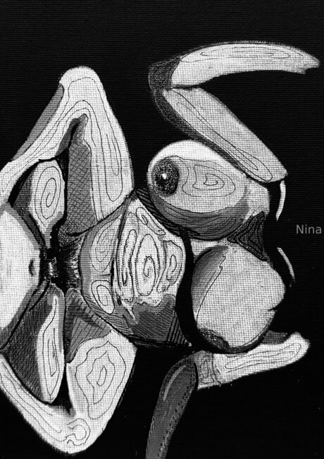 U464958276 pornstar erotic picture