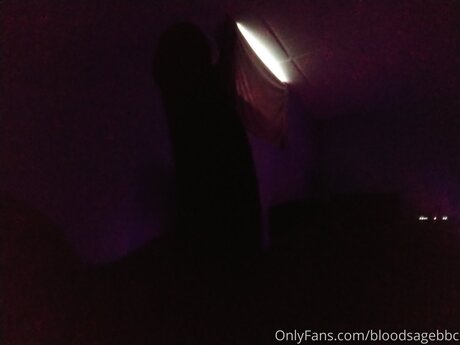 Bloodsagebbc star art pics